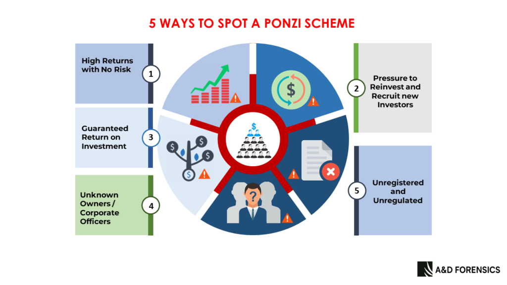 5 Ways To Spot A Ponzi Scheme Aandd Forensics 5069