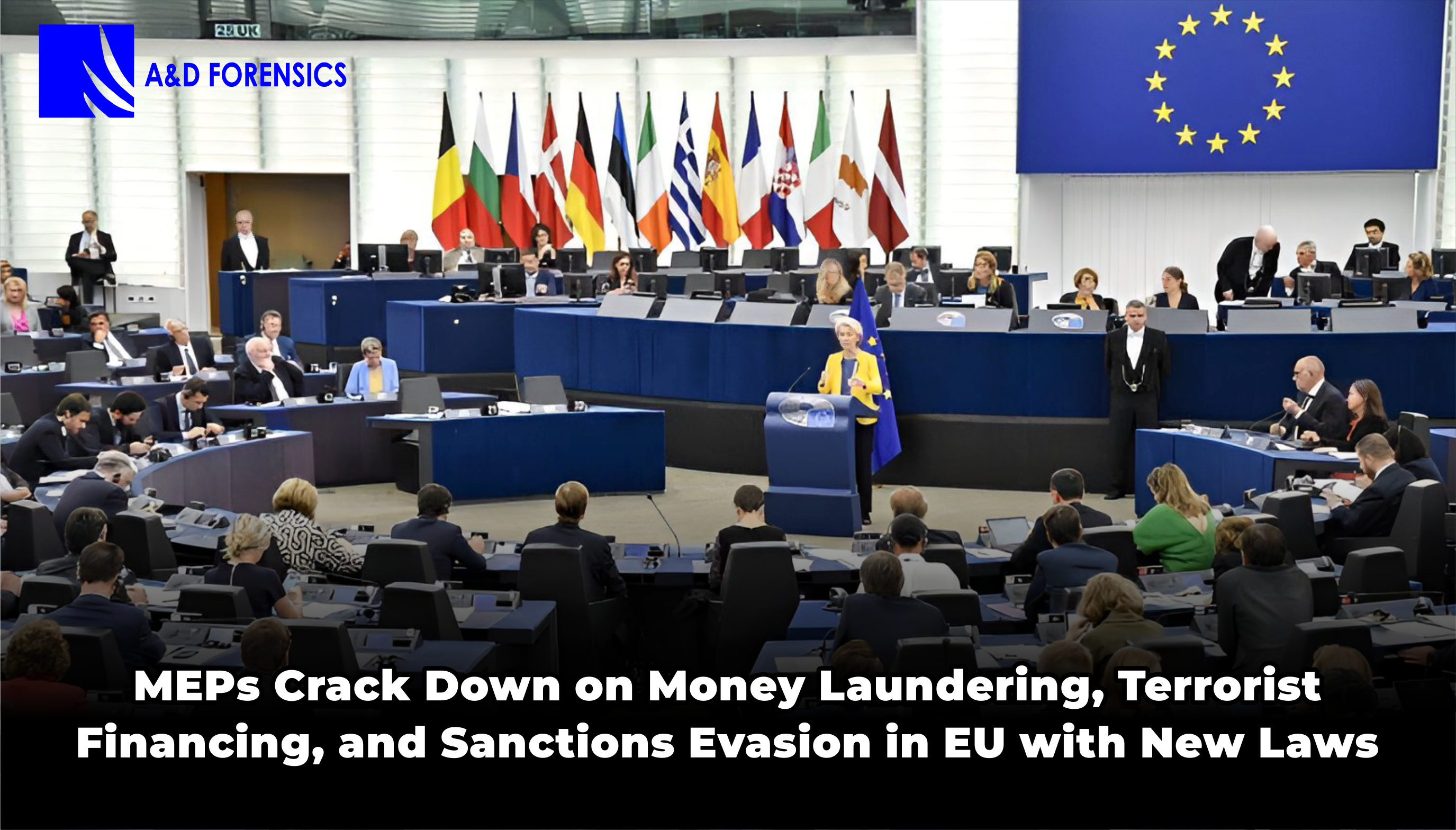MEPs add new laws
