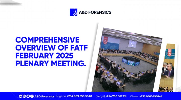 FATF February 2025 Plenary